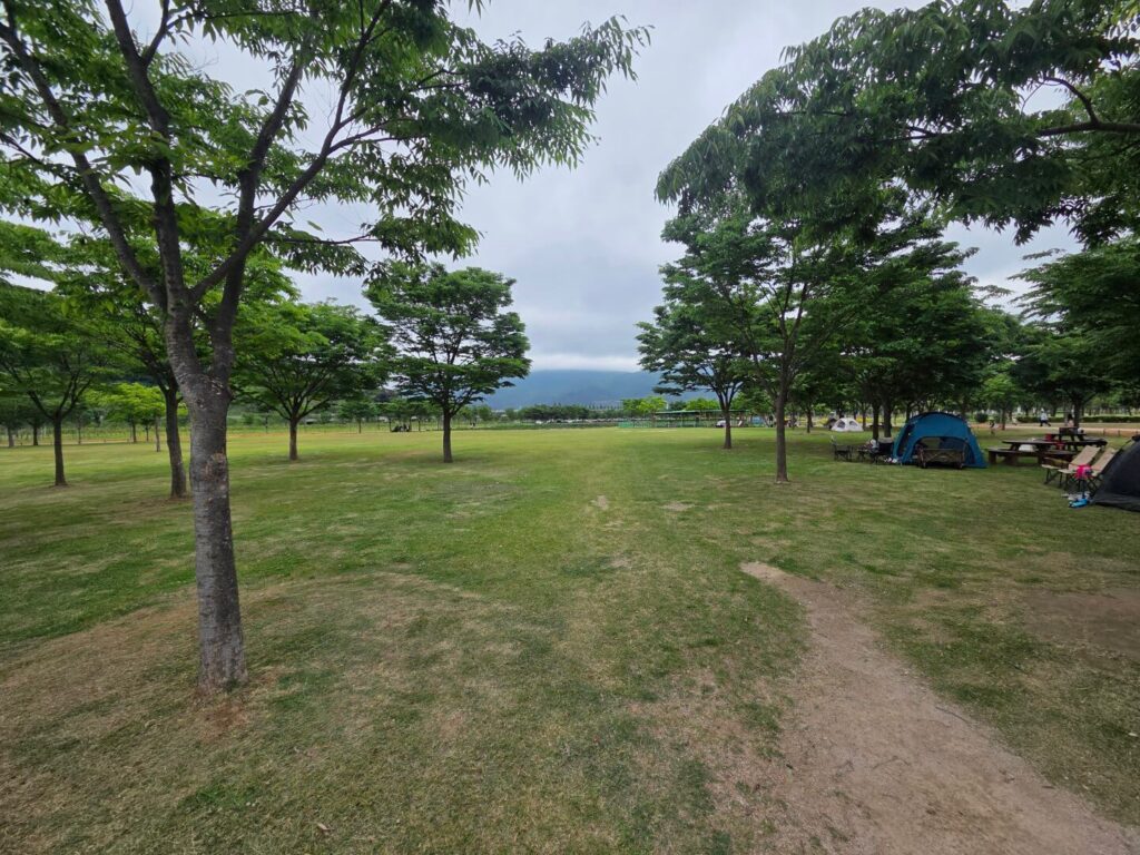 황산공원 캠크닉존
