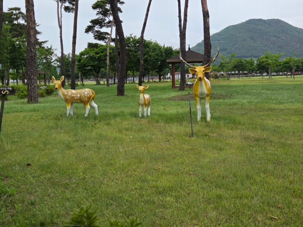 황산공원 미니기차