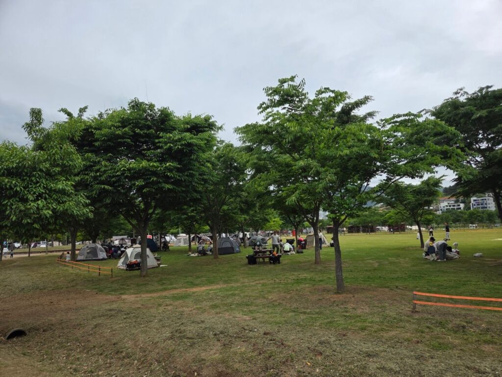 황산공원 캠크닉존